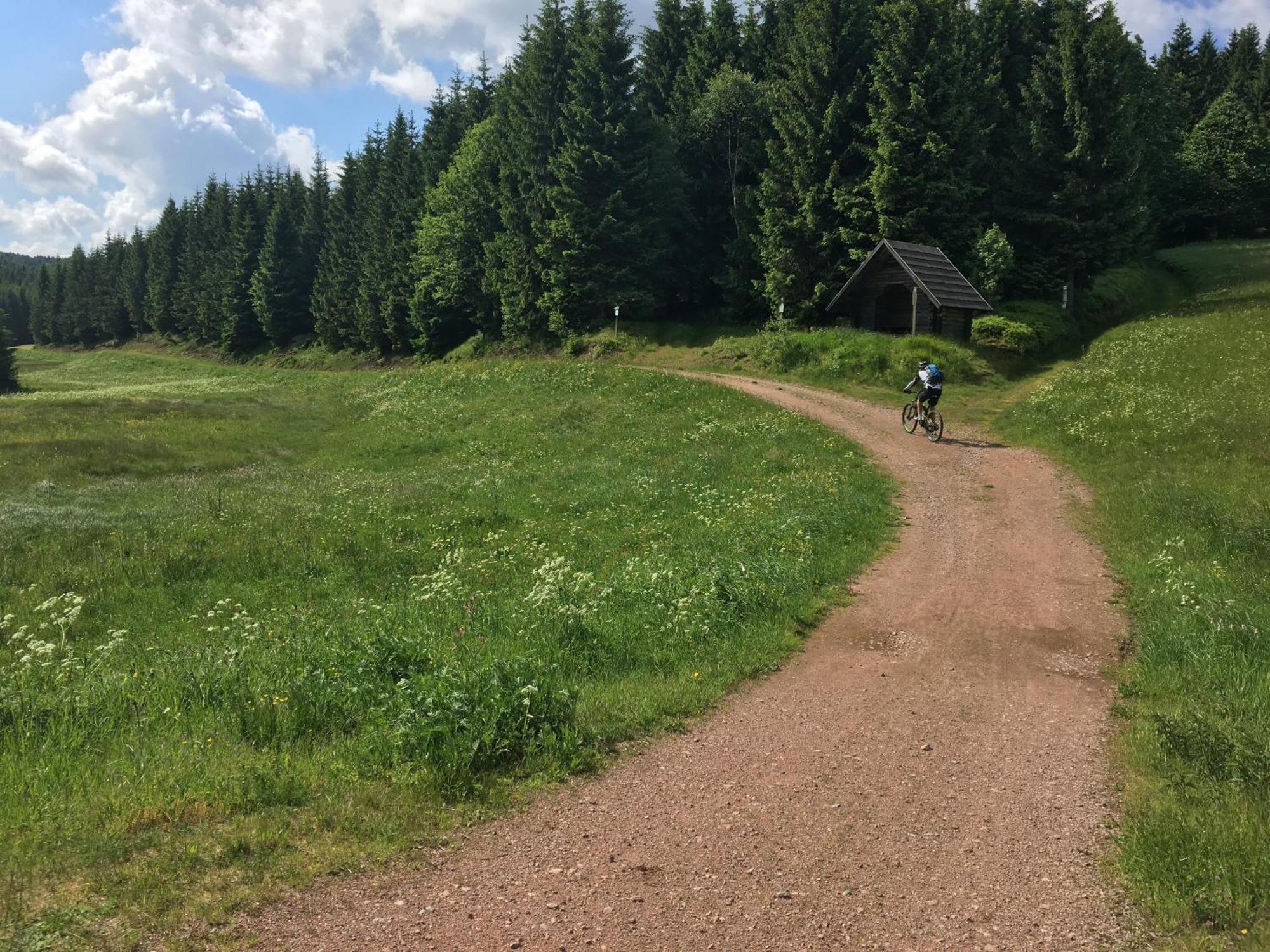 Ferienhaus Bikehuette Rehnhaeusl Geising Стая снимка