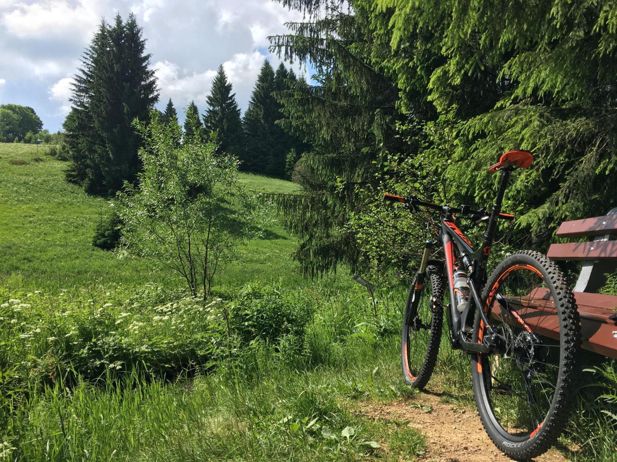 Ferienhaus Bikehuette Rehnhaeusl Geising Екстериор снимка
